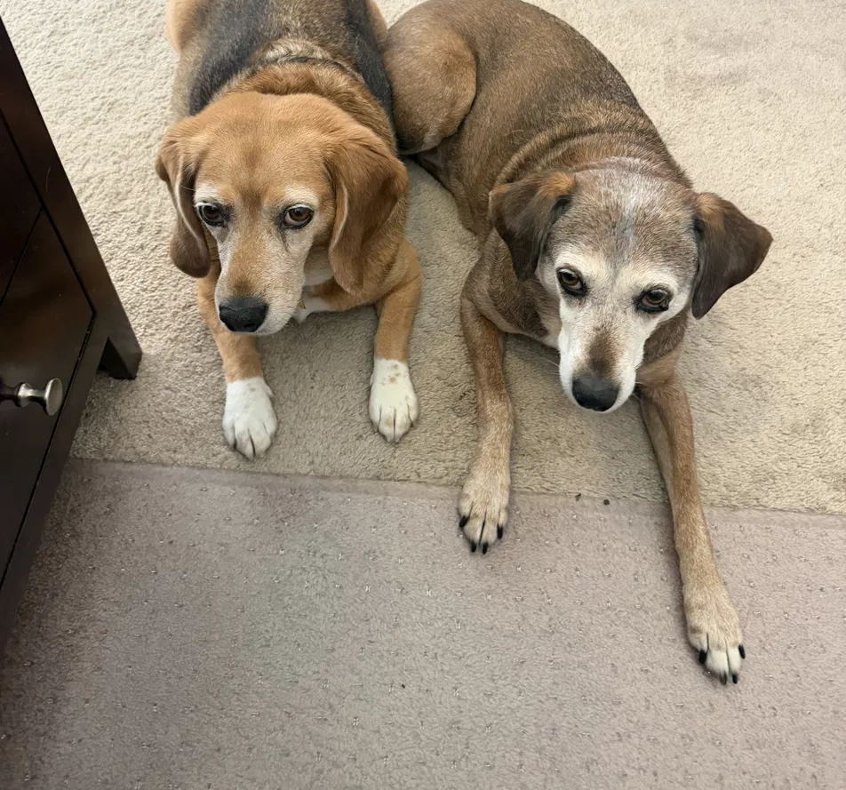 Birdie and Maisie